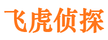 沙河口市私家侦探